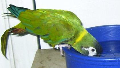 baden3.jpg (14668 Byte)