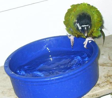 baden6.jpg (23980 Byte)