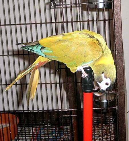 besen1.jpg (59034 Byte)