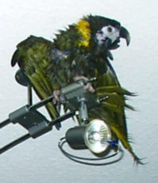 dusch1.jpg (16560 Byte)