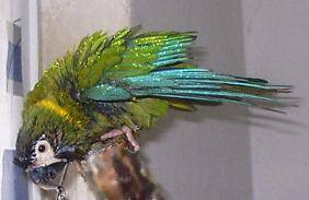dusch4.jpg (10172 Byte)