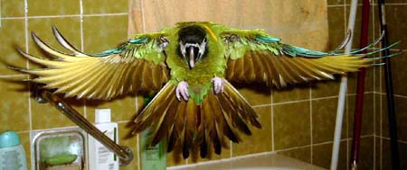 flug10.jpg (23792 Byte)