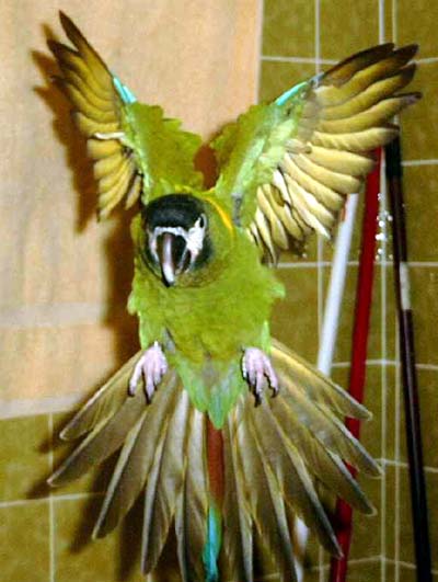 flug13.jpg (38957 Byte)