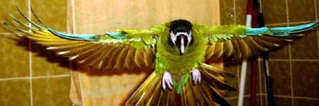 flug14.jpg (17763 Byte)