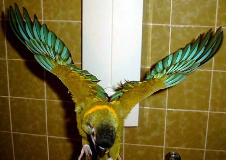 flug16.jpg (28238 Byte)