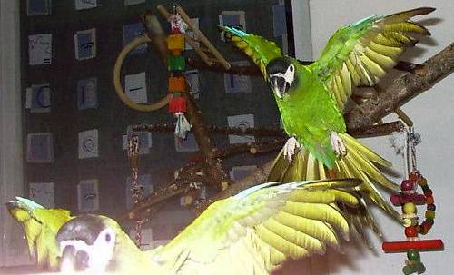 flug2.jpg (31401 Byte)