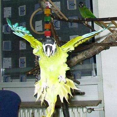 flug3.jpg (32981 Byte)