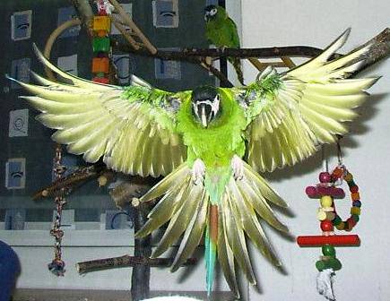 flug4.jpg (34863 Byte)