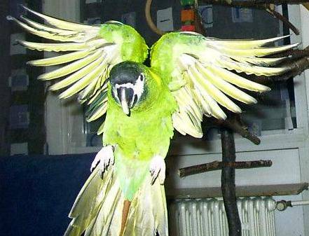 flug6.jpg (34608 Byte)