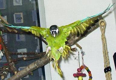 flug7.jpg (22962 Byte)